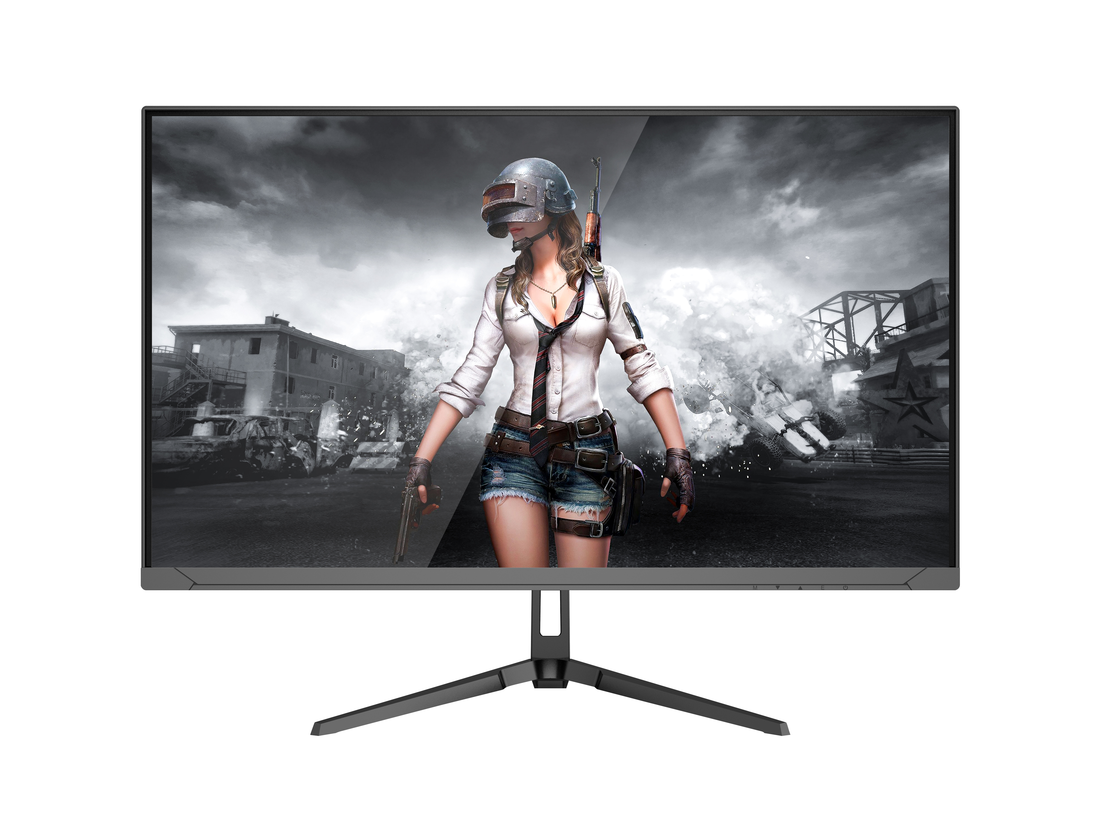 LCD Monitor L24F180IFMRLG003B product image 2